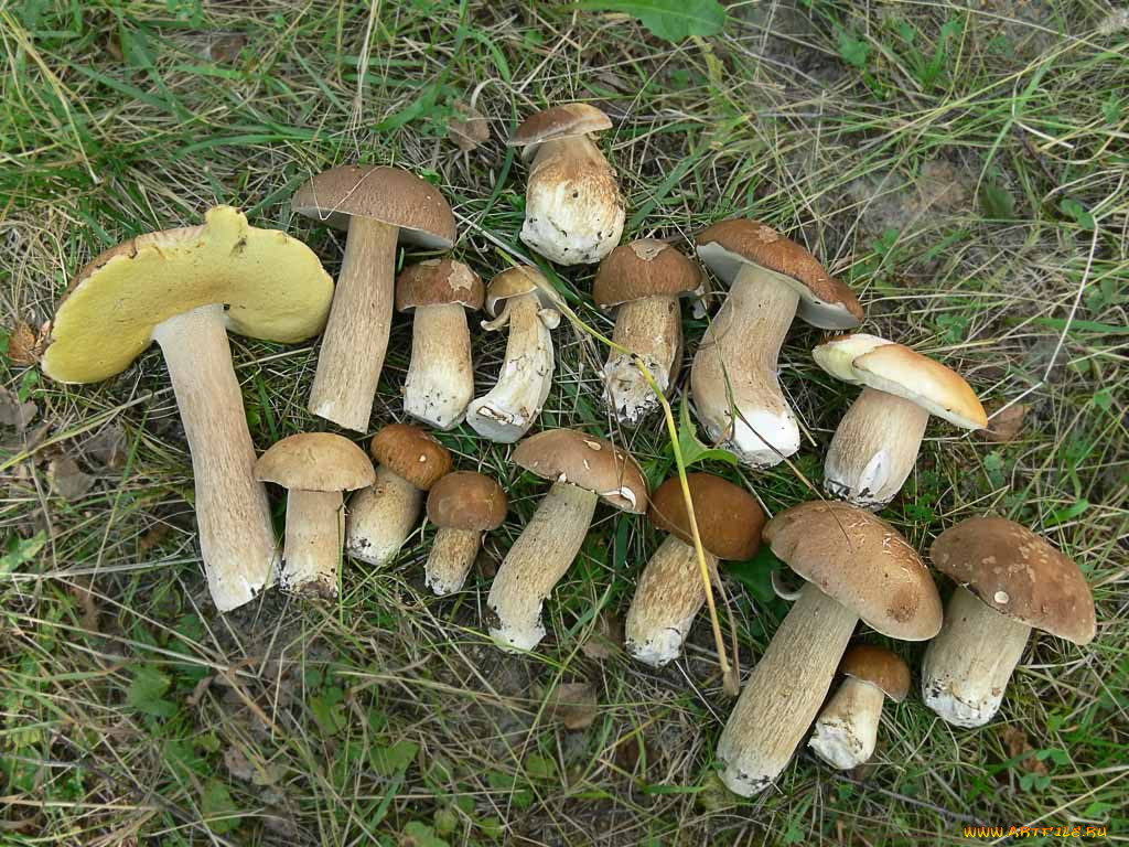 , , , 